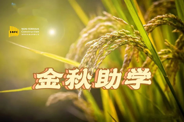 金秋時(shí)節(jié)，照亮追夢之路！